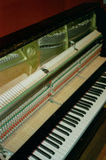 Grand Piano, February 2026